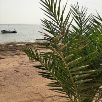 фото из отзыва ID 2743964