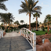 фото из отзыва ID 2743964