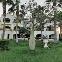 фото из отзыва ID 2743964