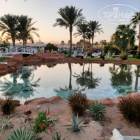 фото из отзыва ID 2743964