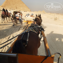 фото из отзыва ID 2743964