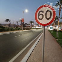 фото из отзыва ID 2743964