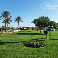 фото из отзыва ID 2743964