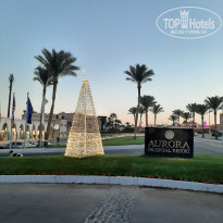 фото из отзыва ID 2743964