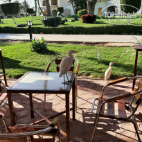 фото из отзыва ID 2743964