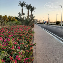 фото из отзыва ID 2743964