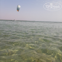 фото из отзыва ID 2743964