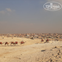 фото из отзыва ID 2743964