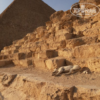 фото из отзыва ID 2743964