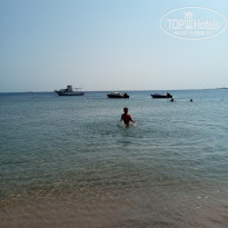 фото из отзыва ID 2744245