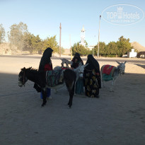 фото из отзыва ID 2744245