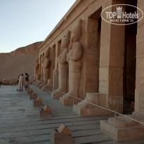 фото из отзыва ID 2744245