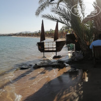 фото из отзыва ID 2744245