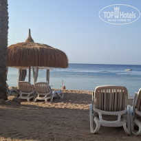 фото из отзыва ID 2744249