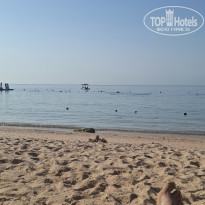 фото из отзыва ID 2744249