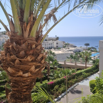 фото из отзыва ID 2744249