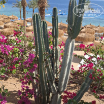 фото из отзыва ID 2744249