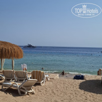 фото из отзыва ID 2744249