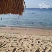 фото из отзыва ID 2744249