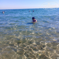 фото из отзыва ID 2744279