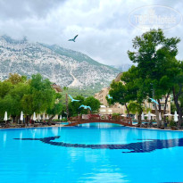 фото из отзыва ID 2744279