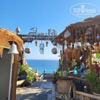 фото из отзыва ID 2744297