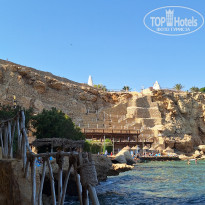 фото из отзыва ID 2744328