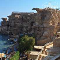 фото из отзыва ID 2744328