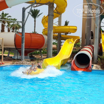 фото из отзыва ID 2744354