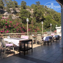 фото из отзыва ID 2744361