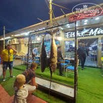 фото из отзыва ID 2744365