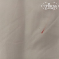 фото из отзыва ID 2744403