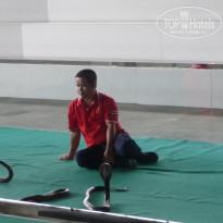 фото из отзыва ID 2744407