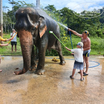 фото из отзыва ID 2744407