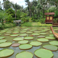 фото из отзыва ID 2744407