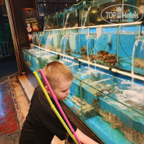 фото из отзыва ID 2744407