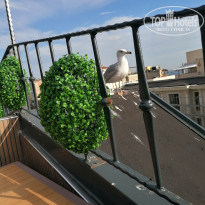 фото из отзыва ID 2744408