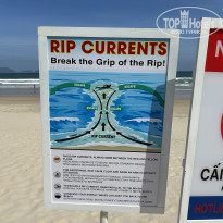 фото из отзыва ID 2744417