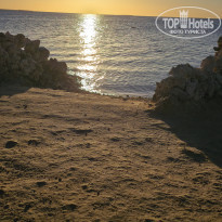 фото из отзыва ID 2744415