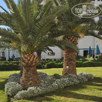 фото из отзыва ID 2744415