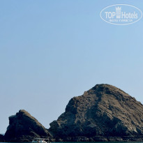 фото из отзыва ID 2744447