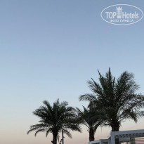 фото из отзыва ID 2744447