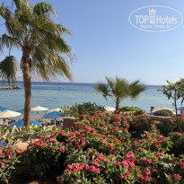 фото из отзыва ID 2744445