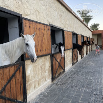 фото из отзыва ID 2744455