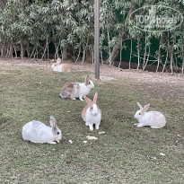 фото из отзыва ID 2744455