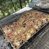 фото из отзыва ID 2744455