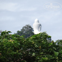 фото из отзыва ID 2744490