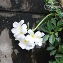 фото из отзыва ID 2744490