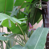 фото из отзыва ID 2744490