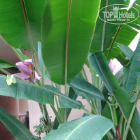 фото из отзыва ID 2744490